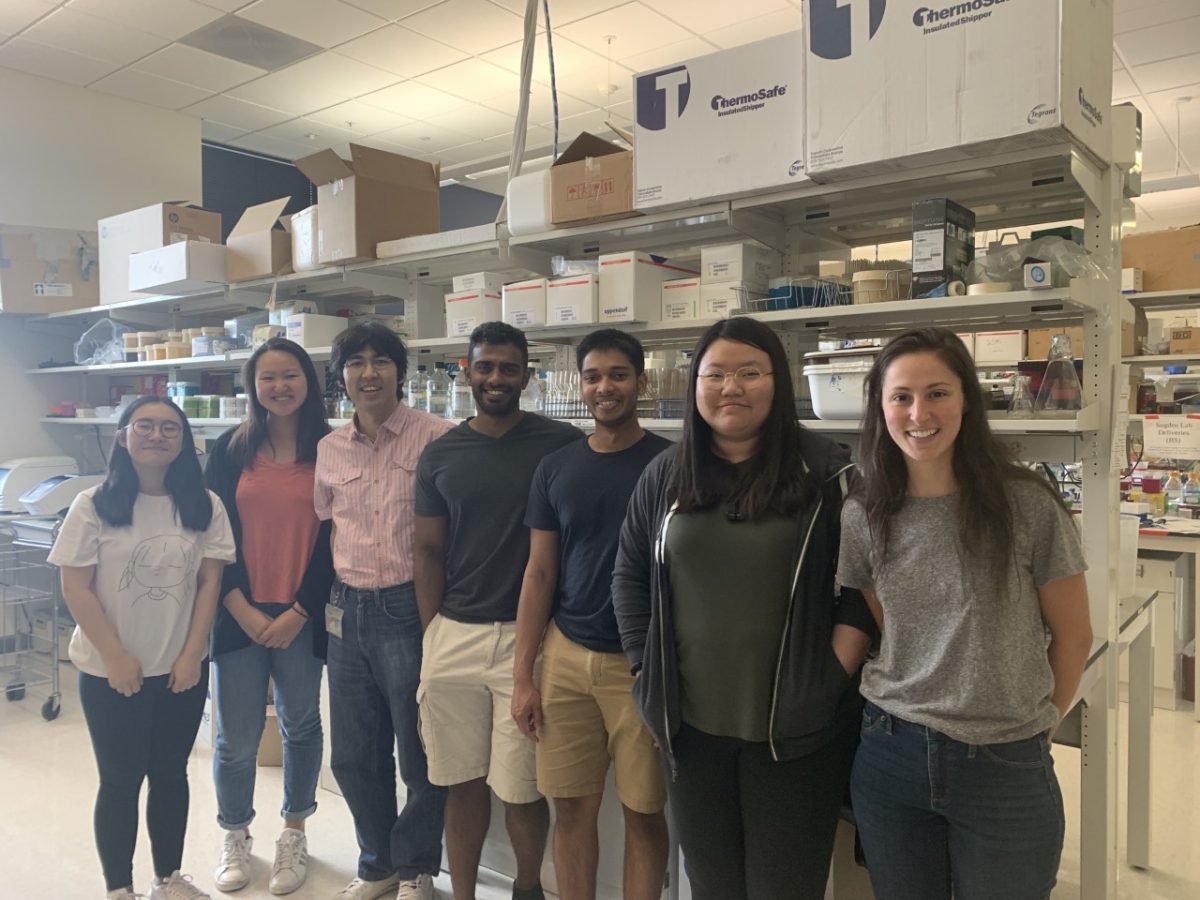 Summer 2019 Recap Suzuki Lab UWMadison